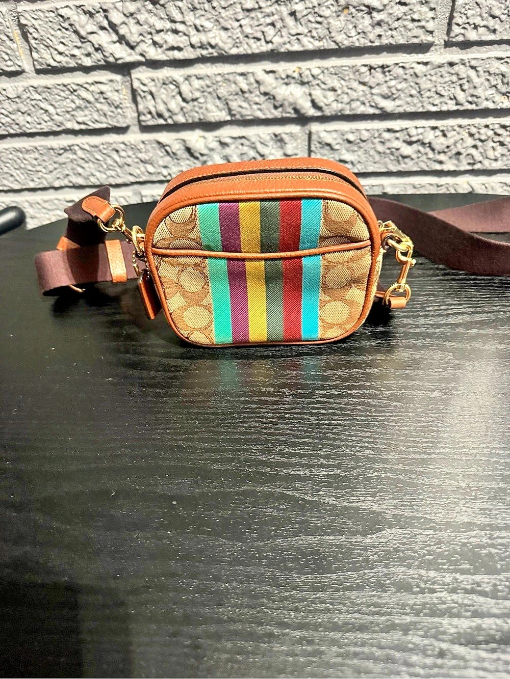 Coach Mini Camera Bag In Rainbow Signature Canvas Multicolor Crossbody